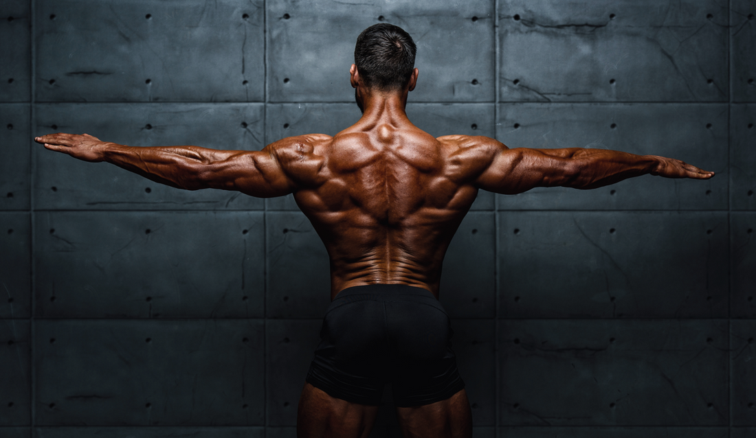 Achieving the Bodybuilding Physique